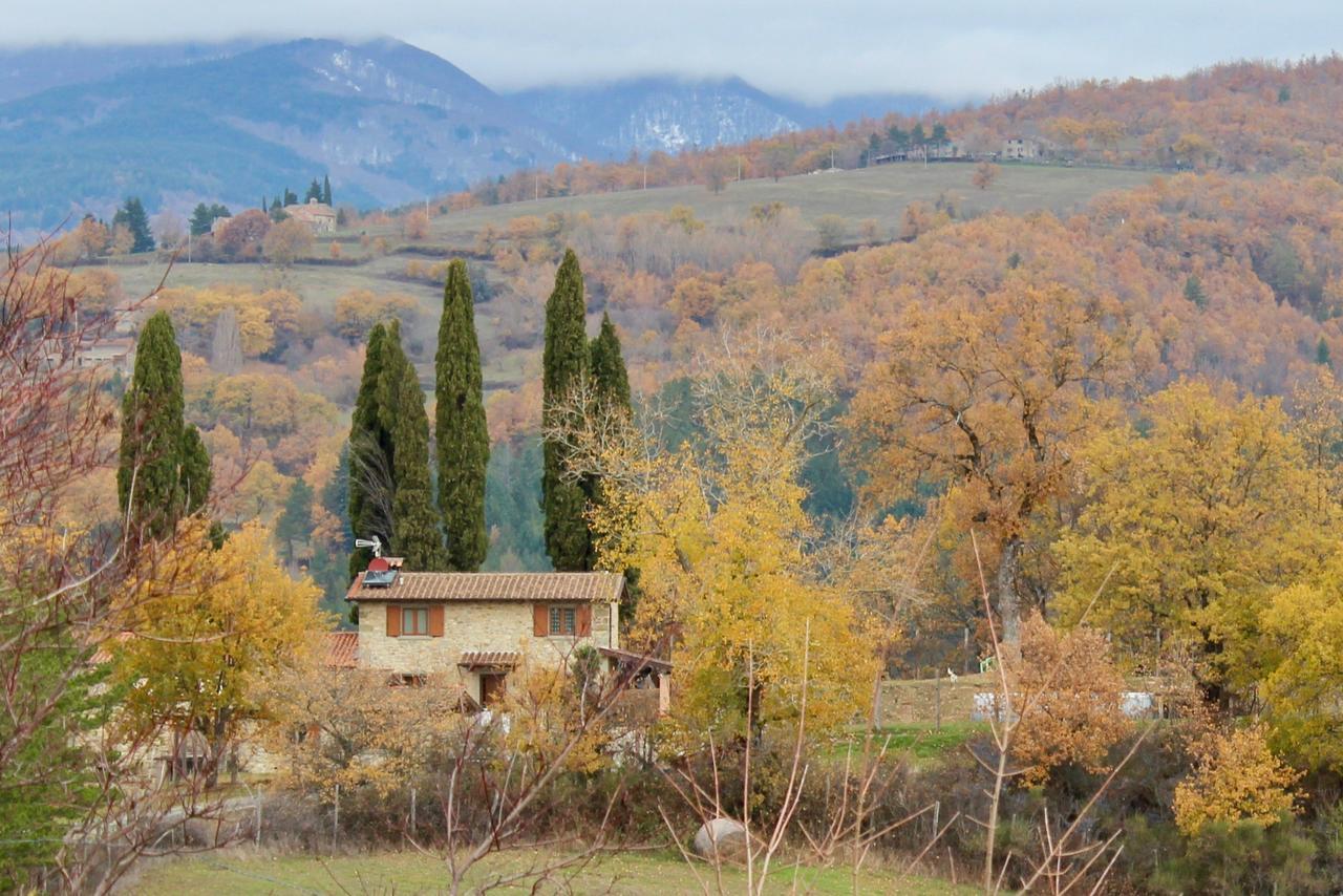 Agriturismo Mandrioli プラトヴェッキオ エクステリア 写真